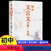 初中文言文全解一本通 [正版]2024初中文言文全解一本通人教版初中生必背古诗词和文言文完全解读初一二三七八九年级古诗文