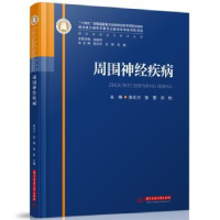 音像周围神经疾病张文川,张黎,刘松主编