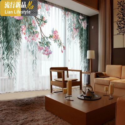 2020新款网红抖音漂亮好看的公主风透光不透人窗帘窗纱帘卧室少女 三维工匠