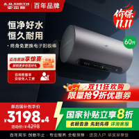 AO史密斯60升电热水器 国家补贴 金圭内胆 双棒分离速热 免换镁棒 免清洗 E60ED8