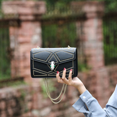 蒂兰仕包包女包2021新款女包BLBW-8649韩版潮时尚小ck小方包时尚百搭洋气链条包单肩包女士斜挎包女士风琴包