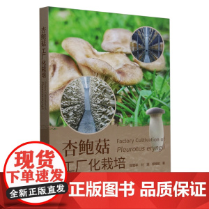 杏鲍菇工厂化栽培 9787109327818 郑雪平 刘遐 郑烜如 编 中国农业出版社