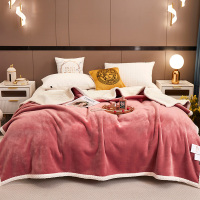 雅鹿家纺羊羔绒双层毯温暖舒适牛奶绒毯子