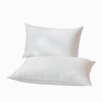 浩博时代 纯棉枕套 60*90CM 只