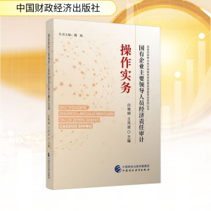 正版新书]国有企业主要领导人员经济责任审计操作实务白艳娟,王