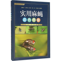 [M]实用麻蝇彩色图鉴-9787566817075