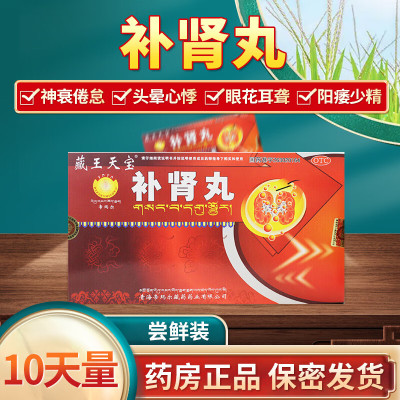 藏王天宝 补肾丸 9g*10丸/盒 补肾强身用于神衰倦怠 头晕心悸 眼花耳聋 阳痰少精 丸剂