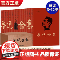 鲁迅全集20册无删改删减完整版 鲁迅经典阅读朝花夕拾狂人日记呐喊鲁迅原著正版鲁迅杂文集小说全集散文集现代当代文学小说
