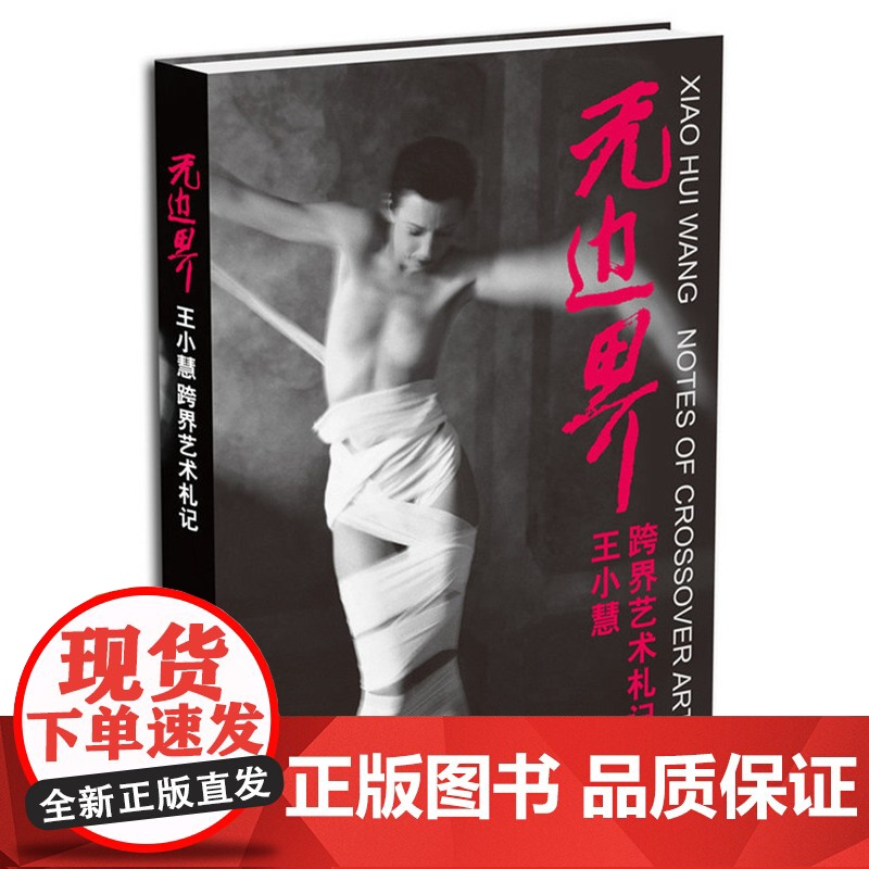 无边界 王小慧 跨界艺术札记 中华书局出版
