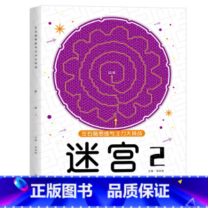 迷宫-2(适合6岁+) [正版]儿童迷宫魔线专注力训练左右脑智力开发逻辑思维书注意力大挑战幼儿园高难度玩具益智游戏3-6