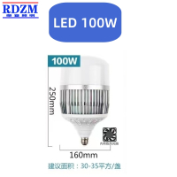 RDZM LED灯泡100W RD1 个