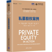 音像私募股权案例