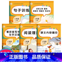 [正版]全5册二年级语文专项训练看拼音写词语阅读理解字词句子拼音拼读训练天天练习题册小学语文2二年级上册同步专项训练书