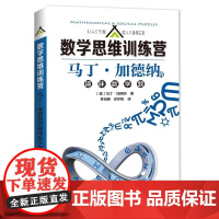 马丁·加德纳的趣味数学题 数学思维训练营趣味科普读物普及中小学数学兴趣培养上海科技教育出版社世纪出版