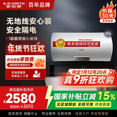 AO史密斯60升电热水器 无地线可安装 专利安全隔电 金圭内胆 速热节能 一键中温保温E60VDS 预约洗浴
