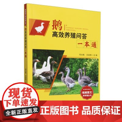 鹅高效养殖问答一本通/视频图文学养殖丛书 何大乾 王启贵 编 9787109318380 中国农业出版社