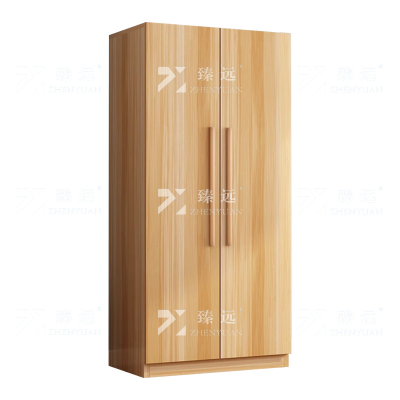 臻远 ZY4022319简约木质衣柜衣服收纳柜 浅胡桃色双门