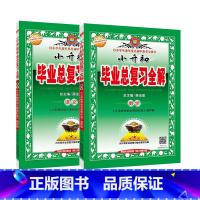 [正版]小升初毕业总复习全解 语文 数学 全国通用版 小学生进军重点中学练习册 金星教育小升初数学总复习资料
