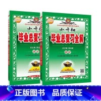 [正版]小升初毕业总复习全解 语文 数学 全国通用版 小学生进军重点中学练习册 金星教育小升初数学总复习资料