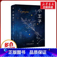 小王子 [正版]小王子 (法)圣埃克苏佩里 著 李玉民 译 世界名著文学 书店图书籍 中国友谊出版公司
