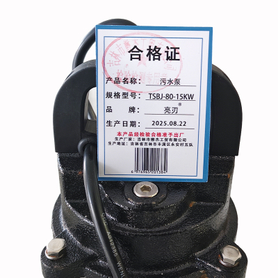 亮刃 污水泵 TSBJ-80-15KW 台