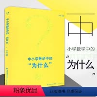 [正版] 中小学数学中的为什么 小学初中高中数学知识大全理论李祎教育书籍教学研究中小学数学教师研修培训书 福建教育出版