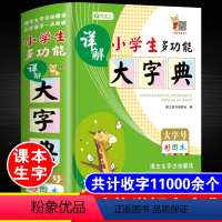 [正版]小学生多功能详解大字典彩图彩色版大字本人教版一二三四五六年级全笔顺笔画组词造句近义反义全功能词典12版成语大全