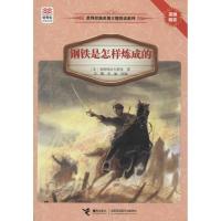 正版新书]优等生推荐阅读文库.世界经典名著主题悦读系列?钢铁是