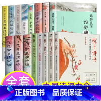 [16册]中国古典诗词系列大套装 [正版]珍藏版枕上诗书全套系列 一本书读懂美古诗词中国诗词大会飞花令里读诗词 古典