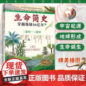 生命简史 穿越地球46亿年 二叠纪 三叠纪 6-12-15岁儿童中小学生青少年科普读物 宇宙起源地球形成生命诞生史前世界