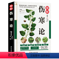 [正版]彩色图解伤寒论医学类中医经典著作黄帝内经伤寒杂病论张仲景金匮要略温病条辨本草纲目中医四大经典名著自学入门古籍医