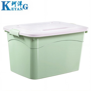 珂洋 整理箱 北欧绿 个