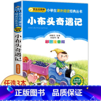 小布头奇遇记 [正版]兔子坡 彩图注音版注音版小学1-3年级彩图儿童书籍6-7-8-12岁小学生一二年级课外书班主任 儿