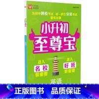 [正版]津桥教育 小升初至尊宝英语通用版 小学毕业总复习冲刺重点中学为初中择校考试初一新生分班考试量身定制
