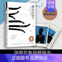 [正版]鳗鱼的旅行 湖南文艺出版社 (瑞典)帕特里克·斯文松 著 徐昕 译 外国随笔/散文集
