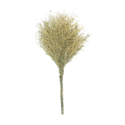 斯赞 大扫把 4斤 把