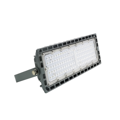 日昇之光(RECEN)LED投(泛)光灯 RGFL237 100W 1个