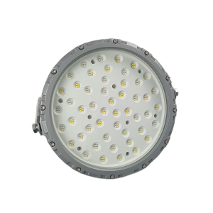 鼎晟丰(DSF) DSFG-911 AC110-240V 50W IP66 LED泛光灯 (计价单位:个) 灰色