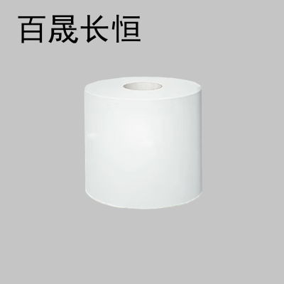 百晟长恒 BSCH-C29GS 4层 10卷 180g 手提纸 空芯(计价单位:提)绿色