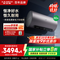 AO史密斯80升电热水器 国家补贴 金圭内胆 双棒分离速热 免换镁棒 免清洗 E80ED8