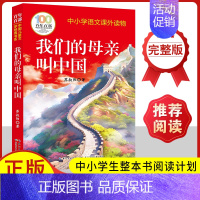 我们的母亲叫中国 [正版]宝葫芦的秘密四年级下册故事书张天翼著完整版无删减老师儿童经典文学名著人民教育出版社三四年级小学