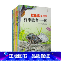 好斗大师--蟋蟀 [正版]昆虫绘美绘本夏季歌者(8册)可以单发 儿童绘本科普百科 精装硬壳硬皮 3-6岁儿童阅读 亲子阅