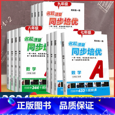 数学-人教版[全套视频解答] 七年级上 [正版]2024秋名校课堂周末练一练同步培优七八九年级初一二三数学英语物理上下册