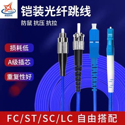 辉宏时代光纤线SC-FC单模双芯铠装光纤跳线防鼠咬抗拉力强防水光缆电信级5米