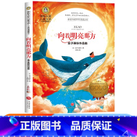 向着明亮那方 [正版]新书上市 向着明亮那方金子美铃作品集国际大奖儿童文学系列 8-9-10岁小学生三四五六年级儿童诗歌