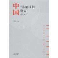 正版新书]中国“小组机制”研究周望9787201195735