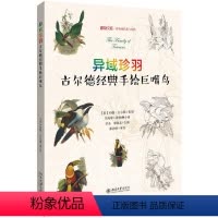 [正版]异域珍羽:古 德 手绘巨嘴鸟