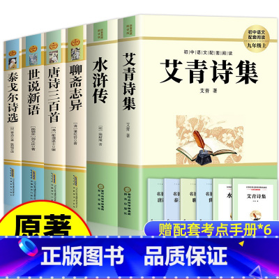 [全6册]九年级上册阅读全集 [正版]水浒传原著完整版初中学生版文言文七八九年级必读青少年版人教版单本白话文120回全初