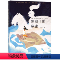 黑骑士的秘密 [正版]书店秘密系列共3册任选 福尔摩斯的秘密 蒙娜丽莎的秘密 黑骑士的秘密 邹凡凡 云南美术出版社 青