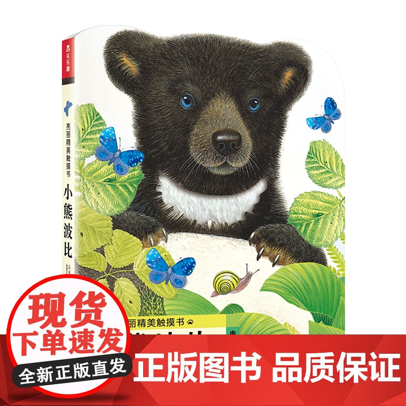 小熊波比(英)莫里斯·普莱格尔(Maurice Pledger) 著 荣信文化 译WX